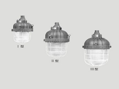 BAD81系列防爆緊湊型節能燈